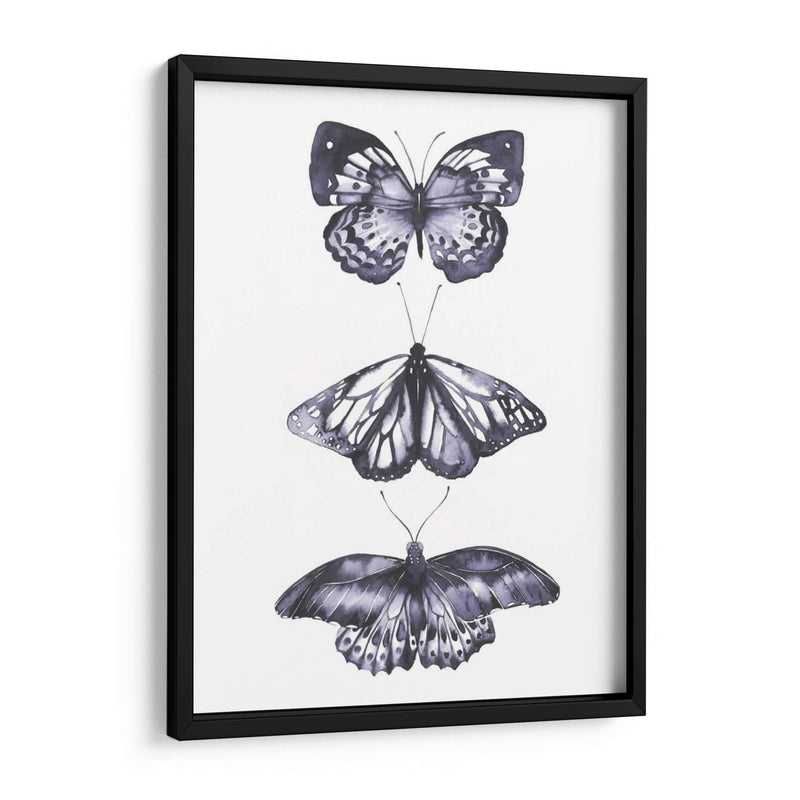 Mariposas Monocromáticas Ii - Grace Popp | Cuadro decorativo de Canvas Lab