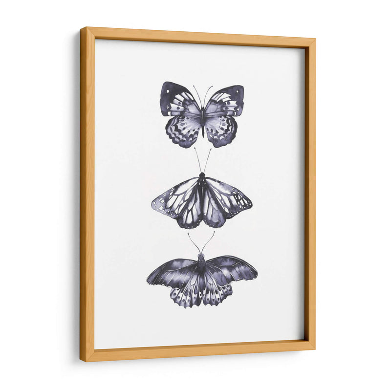 Mariposas Monocromáticas Ii - Grace Popp | Cuadro decorativo de Canvas Lab