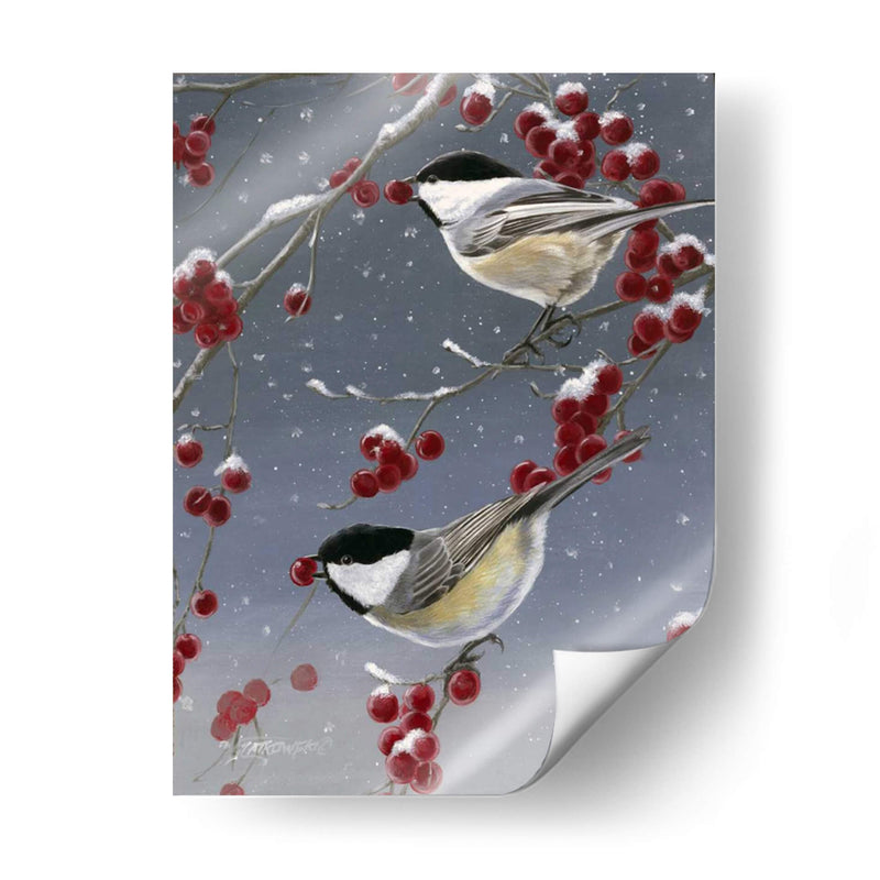 Chickadees De Invierno Ii - Fred Szatkowski | Cuadro decorativo de Canvas Lab
