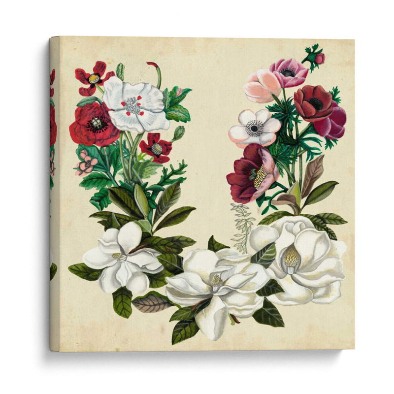 Magnolia Y Corona De Amapola Ii - Naomi McCavitt | Cuadro decorativo de Canvas Lab