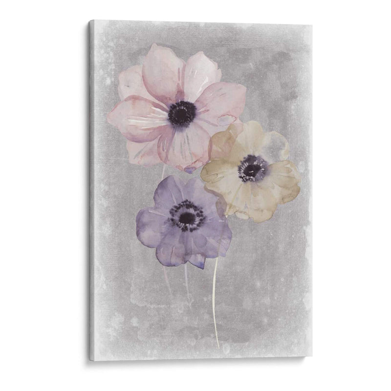 Vals Floral Ii - Grace Popp | Cuadro decorativo de Canvas Lab