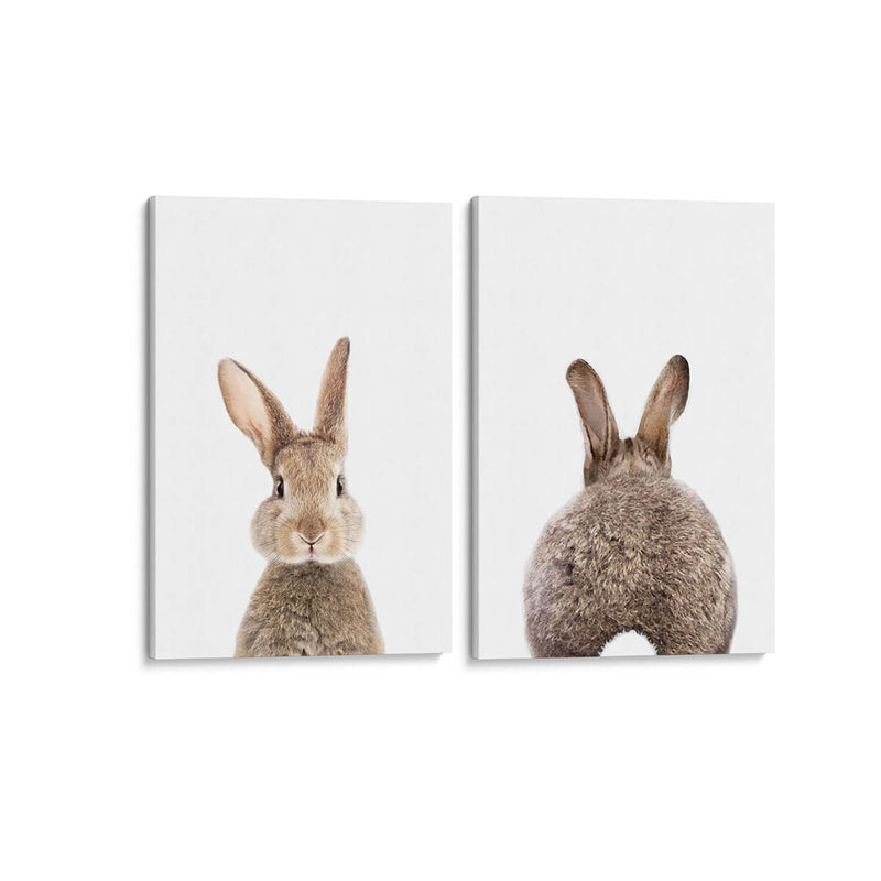 Bunny Front & Back - Set de 2 - Cuadro decorativo | Canvas Lab