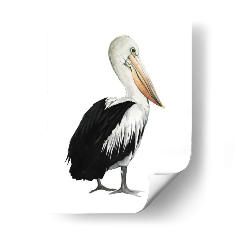 Mar Pájaro Iv - Grace Popp | Cuadro decorativo de Canvas Lab
