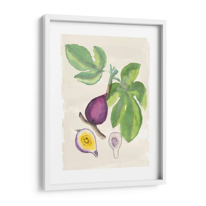 Acuarela Fruta I - Naomi McCavitt | Cuadro decorativo de Canvas Lab