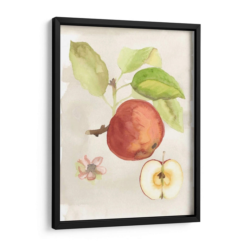 Acuarela Fruta Iv - Naomi McCavitt | Cuadro decorativo de Canvas Lab
