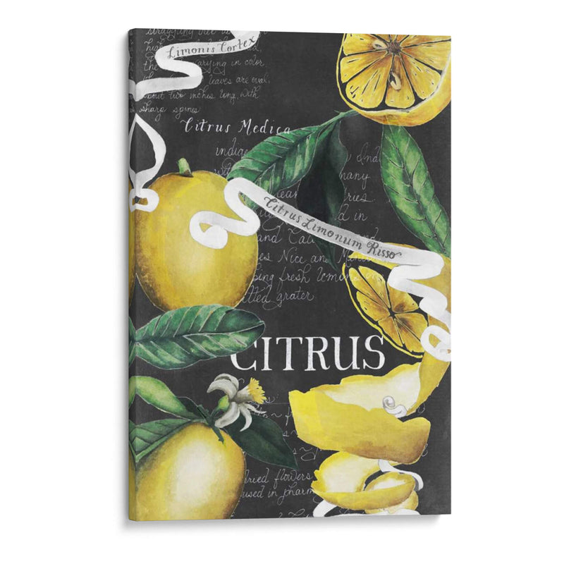 Pizarra Citrus Ii - Grace Popp | Cuadro decorativo de Canvas Lab
