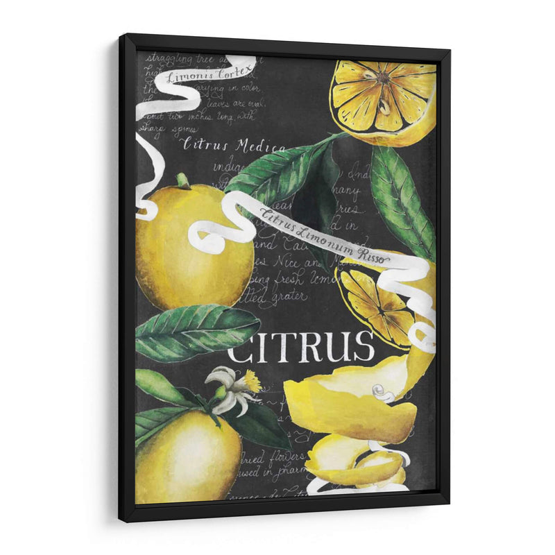 Pizarra Citrus Ii - Grace Popp | Cuadro decorativo de Canvas Lab