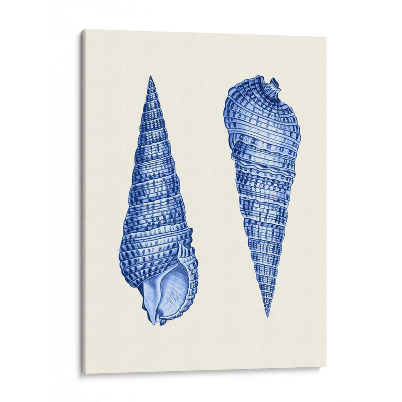 2 Conchas Azules - Fab Funky | Cuadro decorativo de Canvas Lab