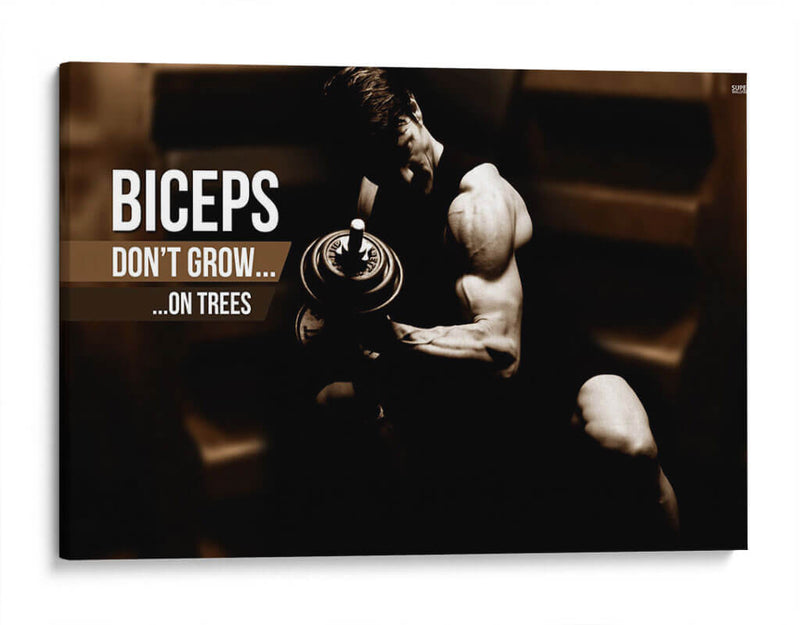 Biceps dont grow on trees | Cuadro decorativo de Canvas Lab