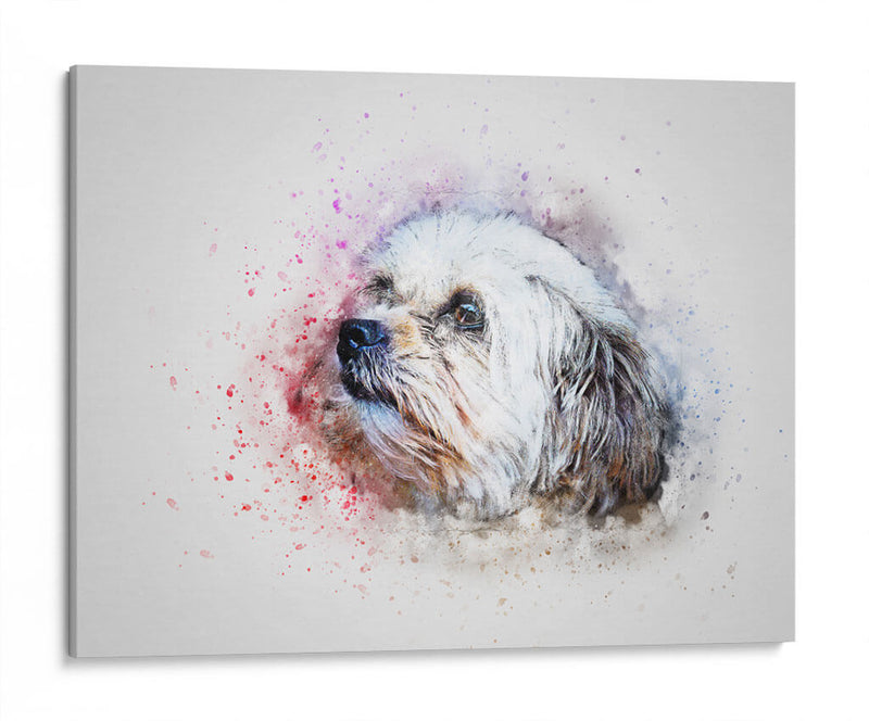 Cachorrito con pintura | Cuadro decorativo de Canvas Lab