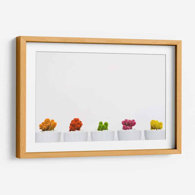 Cactus de colores | Cuadro decorativo de Canvas Lab