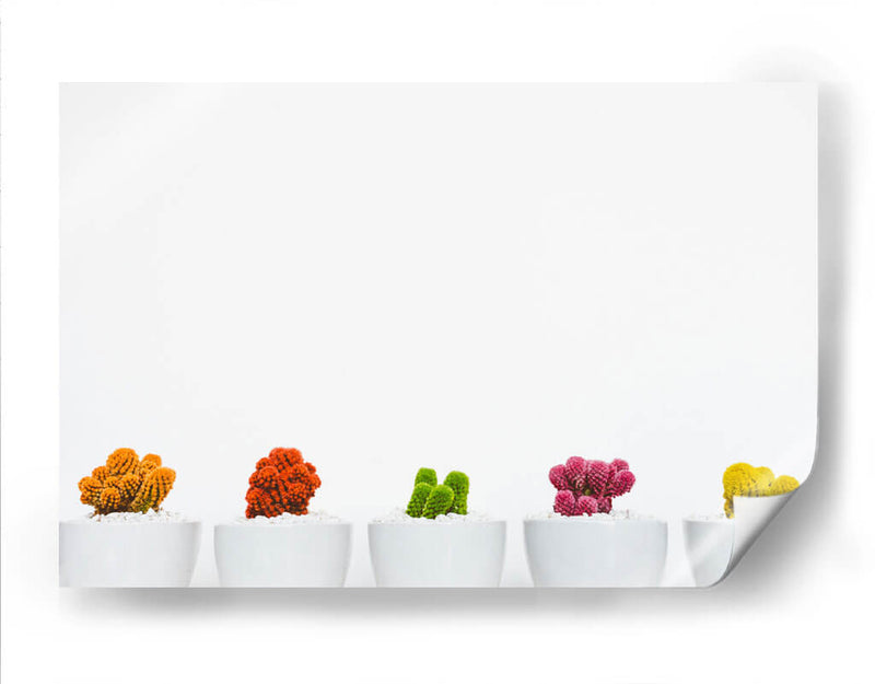 Cactus de colores | Cuadro decorativo de Canvas Lab