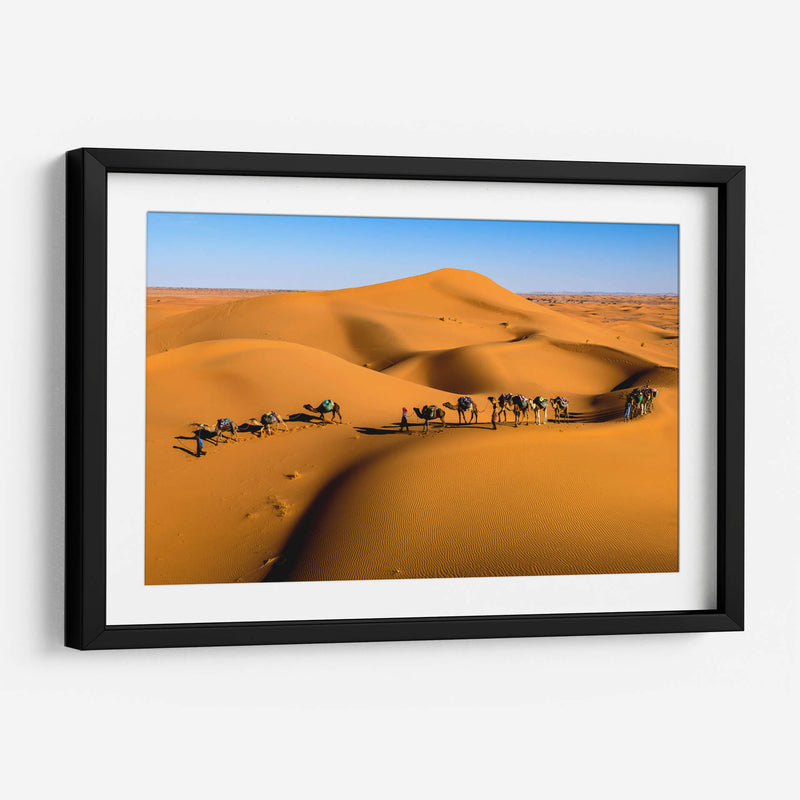 Camellos en las dunas | Cuadro decorativo de Canvas Lab