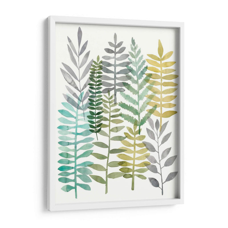 Acuarela Botánica Ii - Megan Meagher | Cuadro decorativo de Canvas Lab