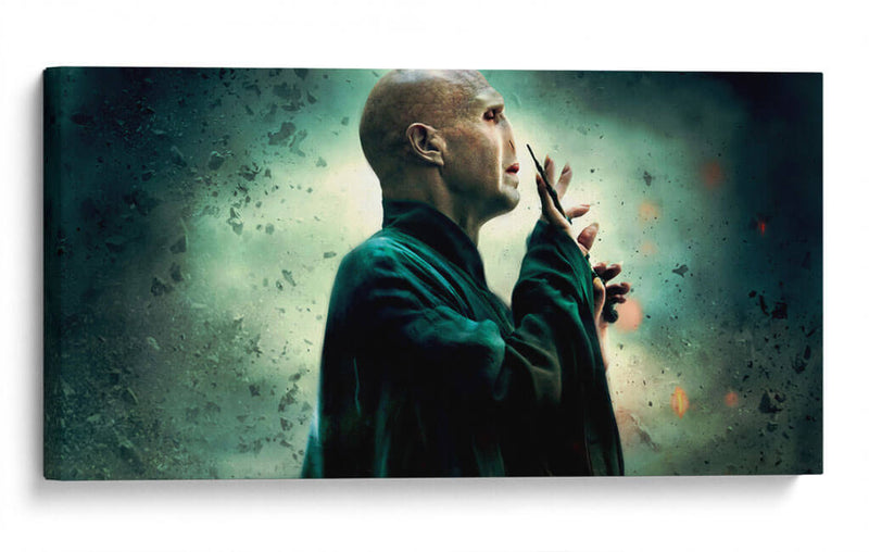 Lord Voldemort | Cuadro decorativo de Canvas Lab