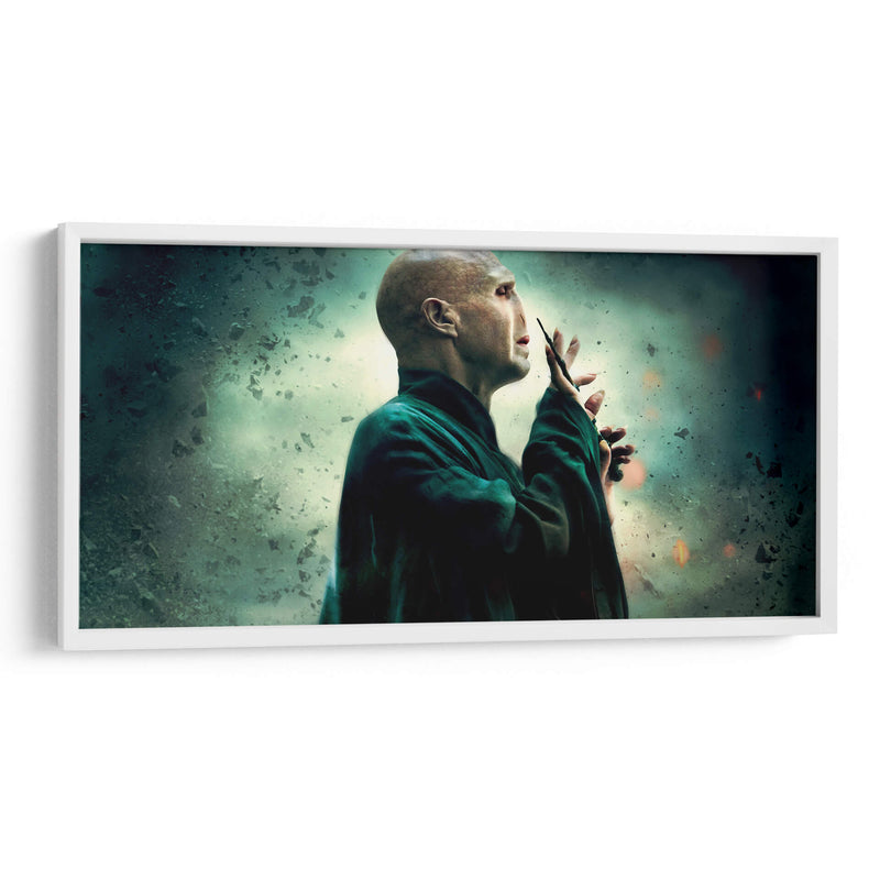 Lord Voldemort | Cuadro decorativo de Canvas Lab