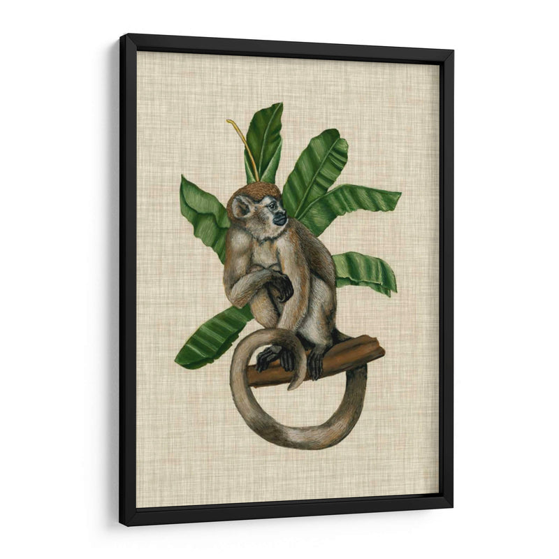 Canopy Monkey I - Naomi McCavitt | Cuadro decorativo de Canvas Lab