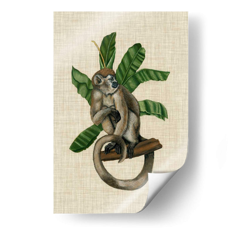 Canopy Monkey I - Naomi McCavitt | Cuadro decorativo de Canvas Lab
