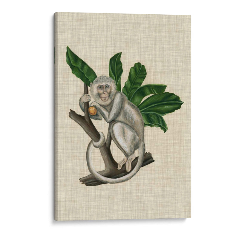 Canopy Monkey Ii - Naomi McCavitt | Cuadro decorativo de Canvas Lab