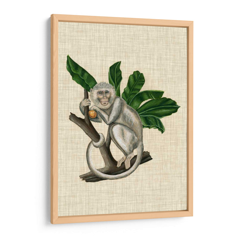 Canopy Monkey Ii - Naomi McCavitt | Cuadro decorativo de Canvas Lab