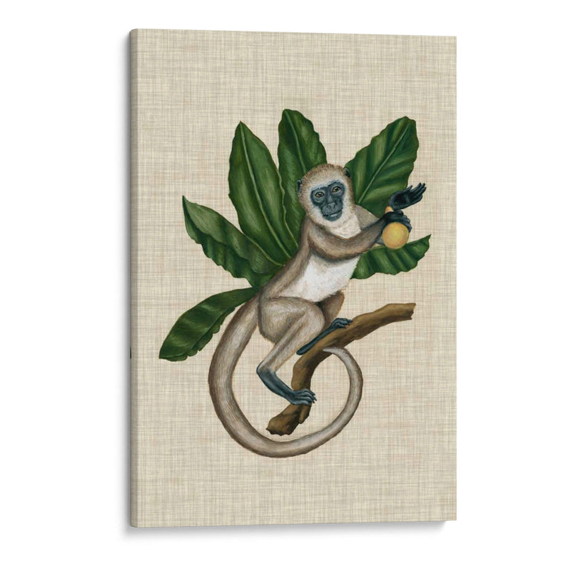 Canopy Monkey Iii - Naomi McCavitt | Cuadro decorativo de Canvas Lab