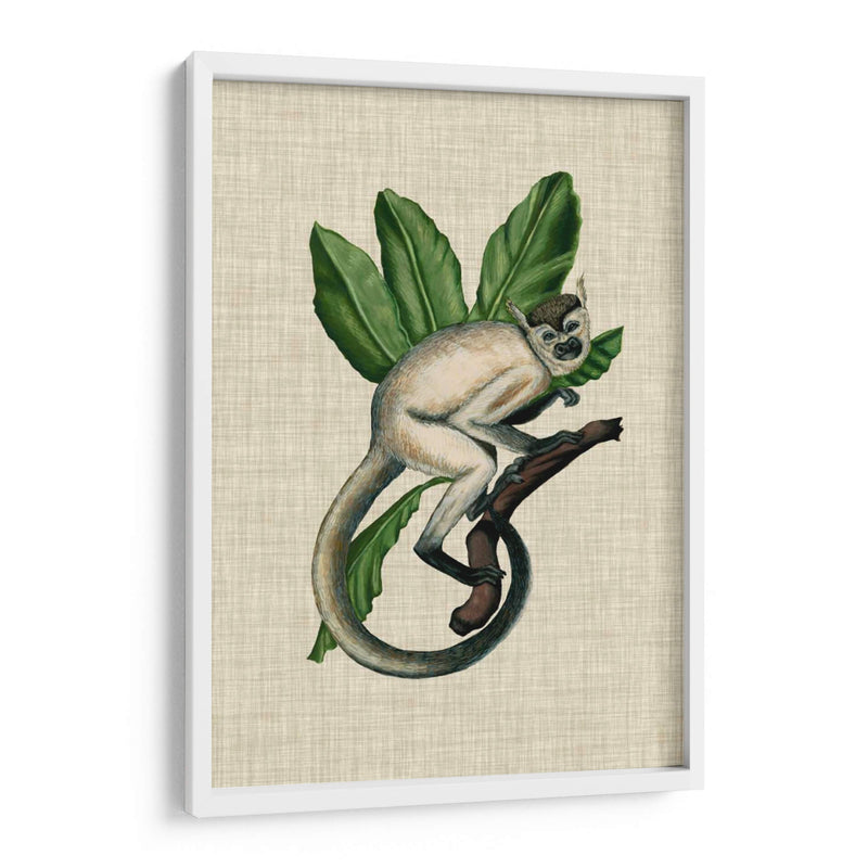 Canopy Monkey Iv - Naomi McCavitt | Cuadro decorativo de Canvas Lab
