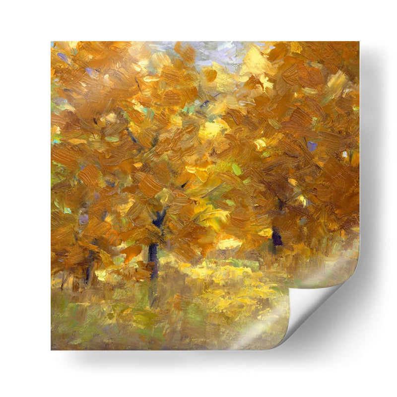 Cottonwoods - Sheila Finch | Cuadro decorativo de Canvas Lab