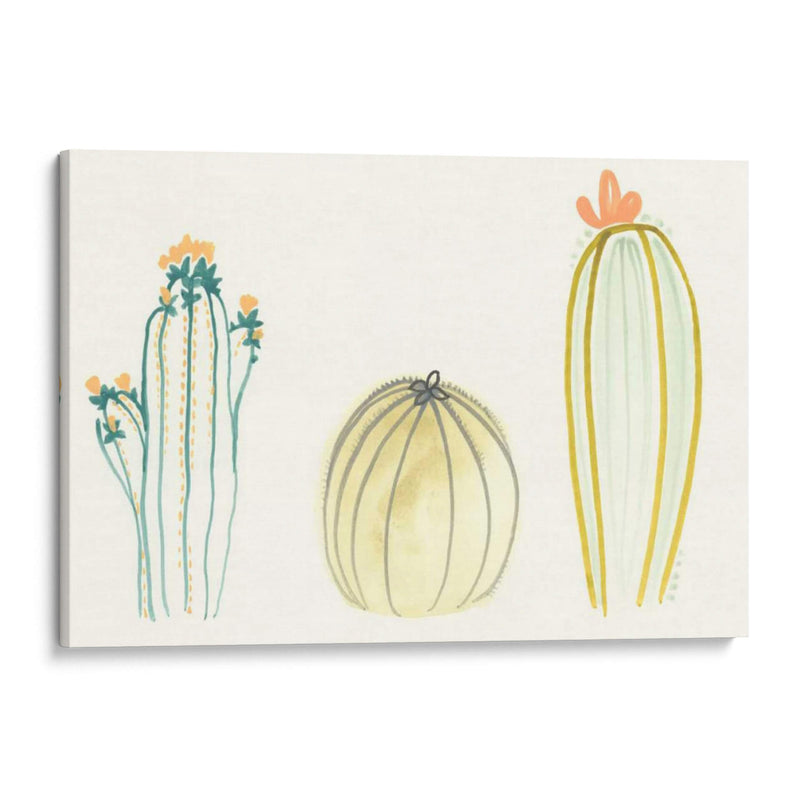 Funky Succulents Iv - June Erica Vess | Cuadro decorativo de Canvas Lab