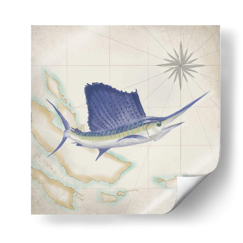 Mapa De Pez Vela Ii - Rick Novak | Cuadro decorativo de Canvas Lab