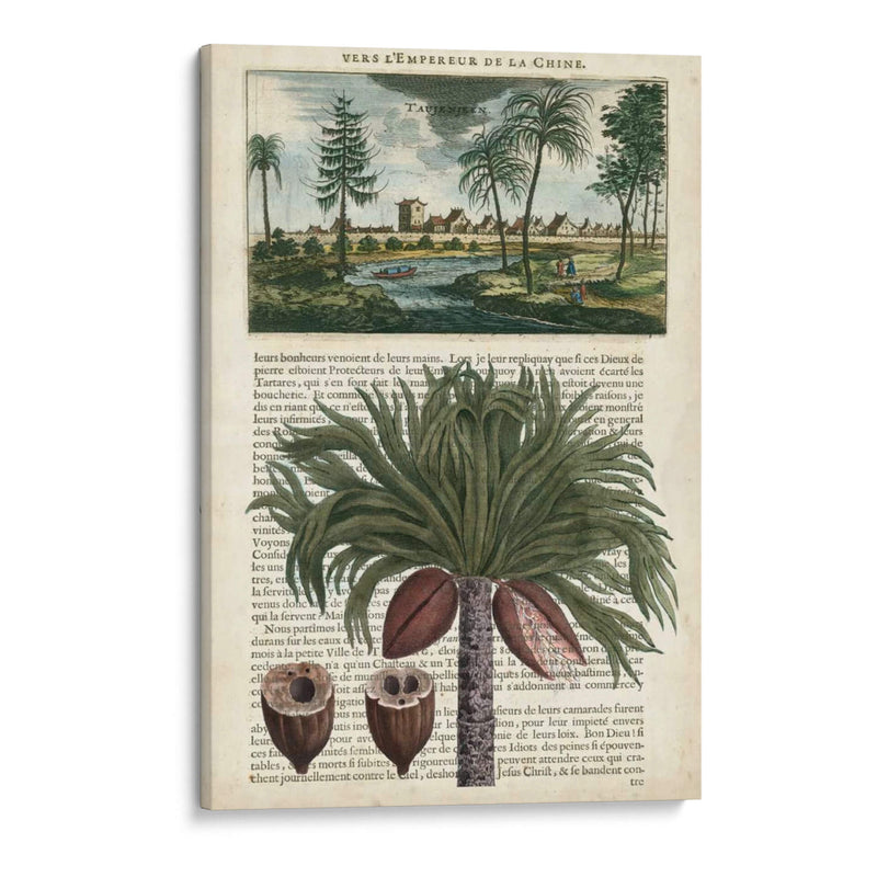 Journal Of The Tropics Iv - Vision Studio | Cuadro decorativo de Canvas Lab