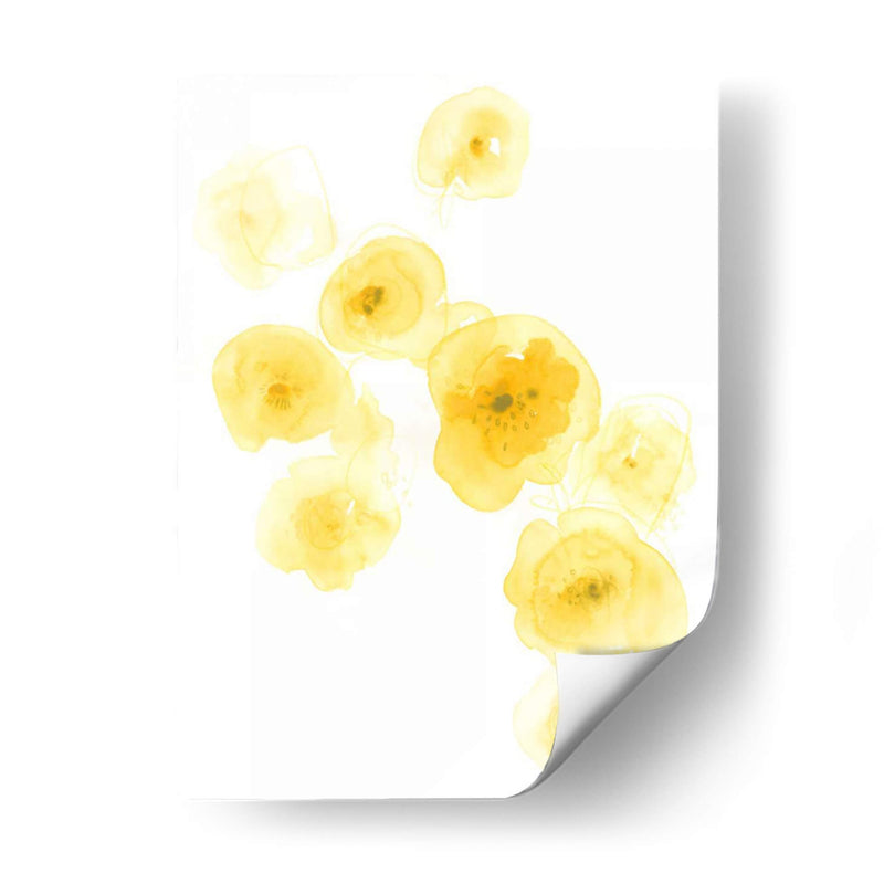 Blossoms Que Caen Iii - June Erica Vess | Cuadro decorativo de Canvas Lab