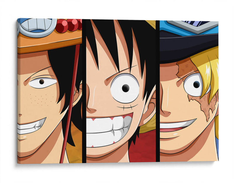 One Piece faces | Cuadro decorativo de Canvas Lab