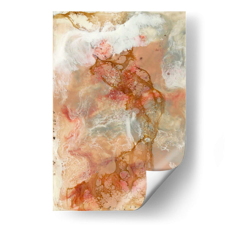 Coral De Encaje I - Jennifer Goldberger | Cuadro decorativo de Canvas Lab
