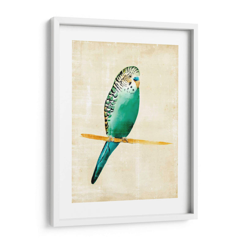 Pájaros Fantasiosos Ii - Chariklia Zarris | Cuadro decorativo de Canvas Lab