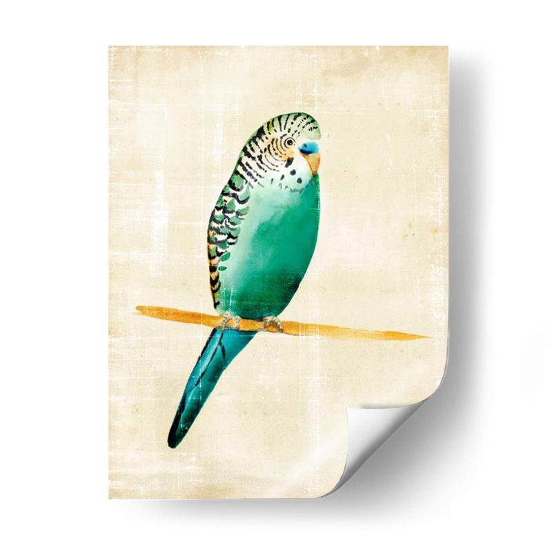 Pájaros Fantasiosos Ii - Chariklia Zarris | Cuadro decorativo de Canvas Lab
