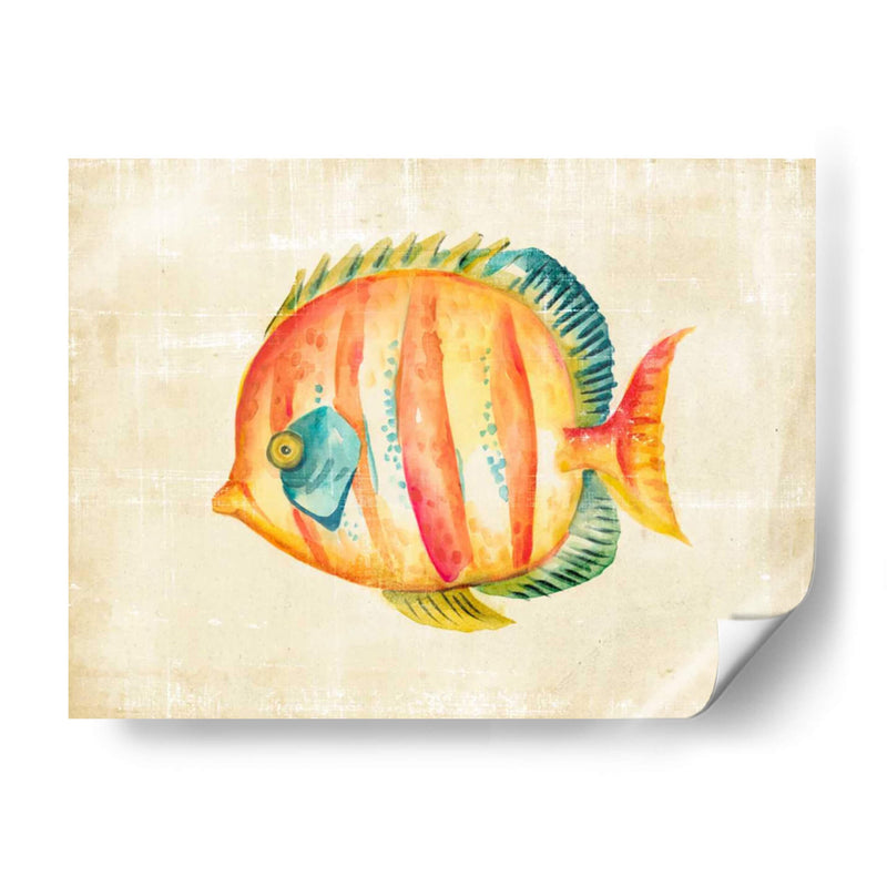 Acuario Fish Ii - Chariklia Zarris | Cuadro decorativo de Canvas Lab