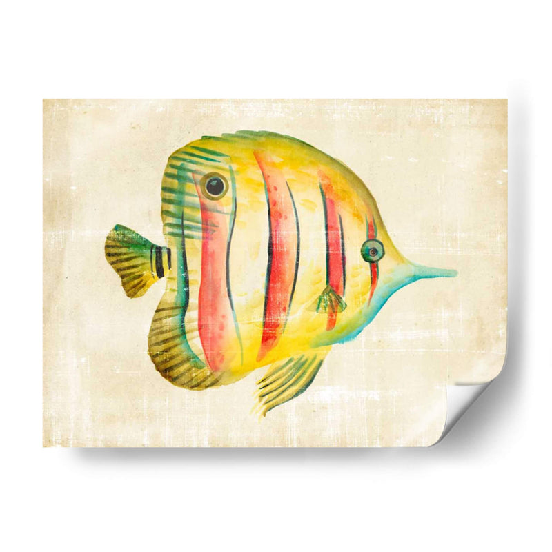 Acuario Fish Iii - Chariklia Zarris | Cuadro decorativo de Canvas Lab