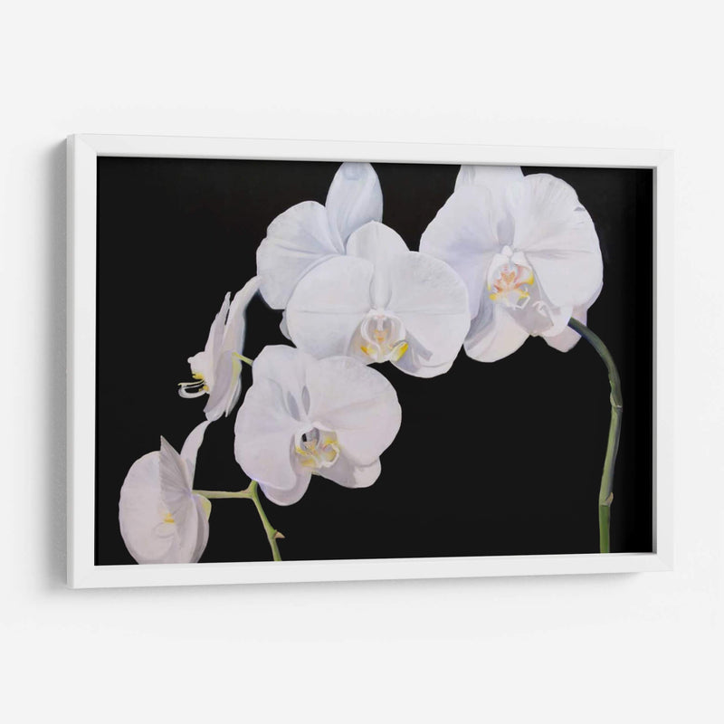 Orquídeas Dramáticas I - Sandra Iafrate | Cuadro decorativo de Canvas Lab