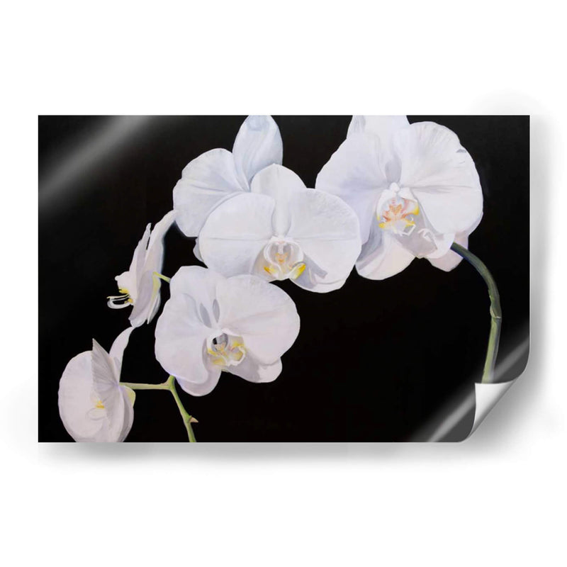 Orquídeas Dramáticas I - Sandra Iafrate | Cuadro decorativo de Canvas Lab