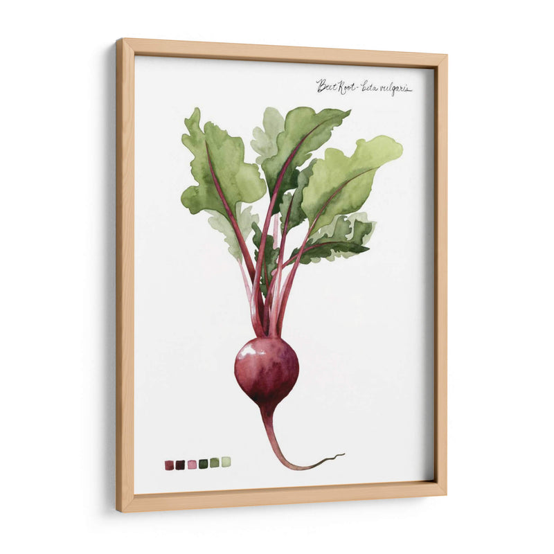 Vegetal Raíz Ii - Grace Popp | Cuadro decorativo de Canvas Lab