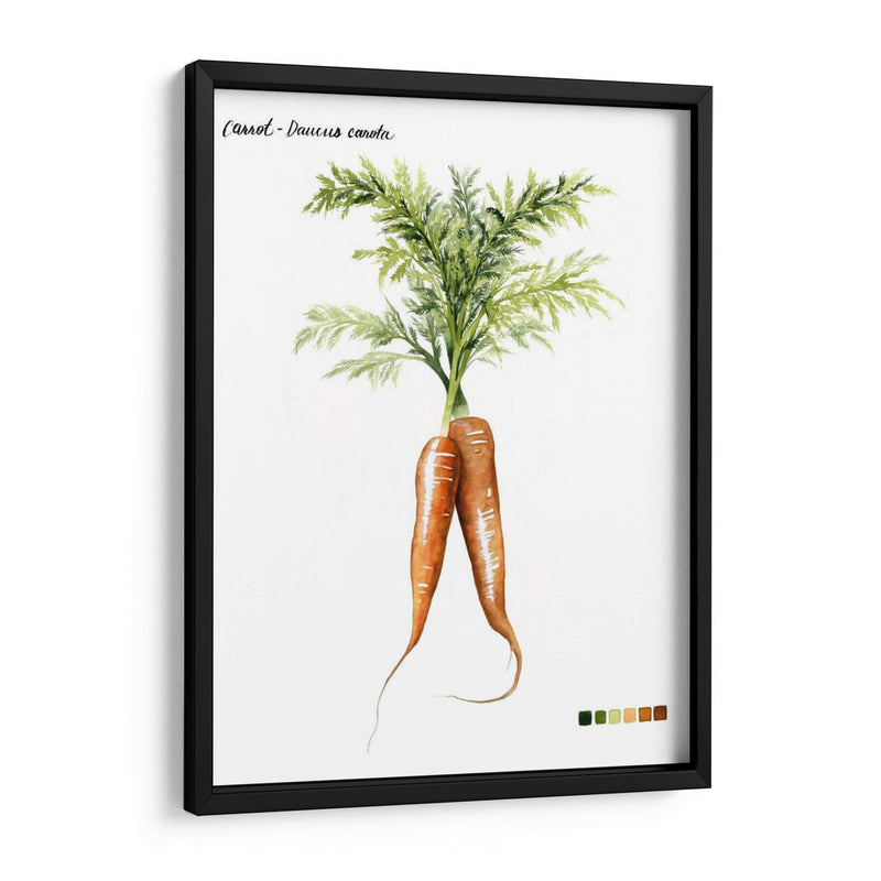 Vegetal Raíz Iii - Grace Popp | Cuadro decorativo de Canvas Lab