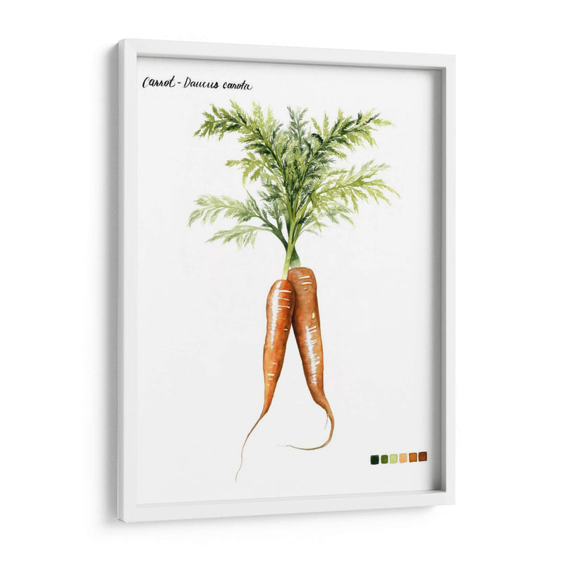 Vegetal Raíz Iii - Grace Popp | Cuadro decorativo de Canvas Lab