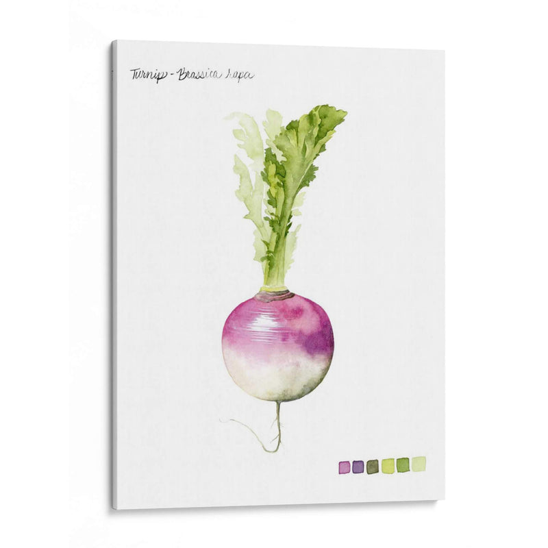 Vegetal Raíz Vi - Grace Popp | Cuadro decorativo de Canvas Lab