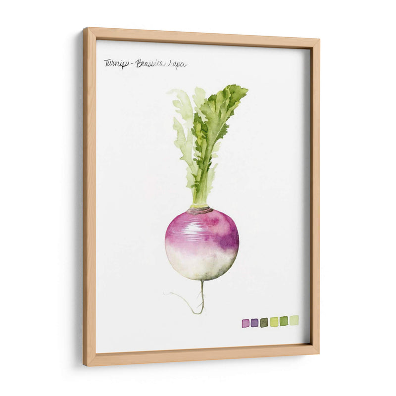 Vegetal Raíz Vi - Grace Popp | Cuadro decorativo de Canvas Lab