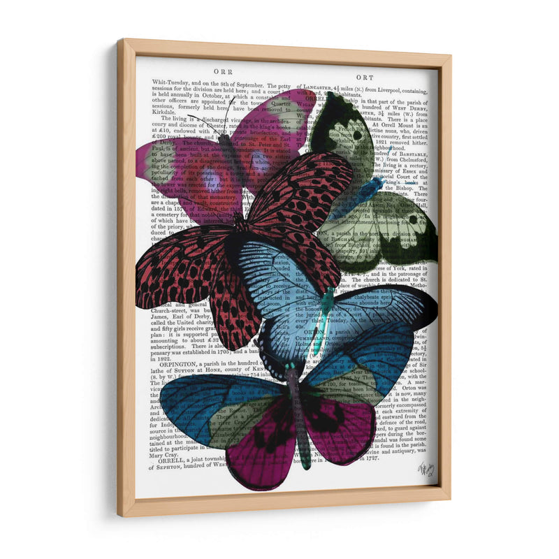 Grandes Mariposas Audaces 1 - Fab Funky | Cuadro decorativo de Canvas Lab