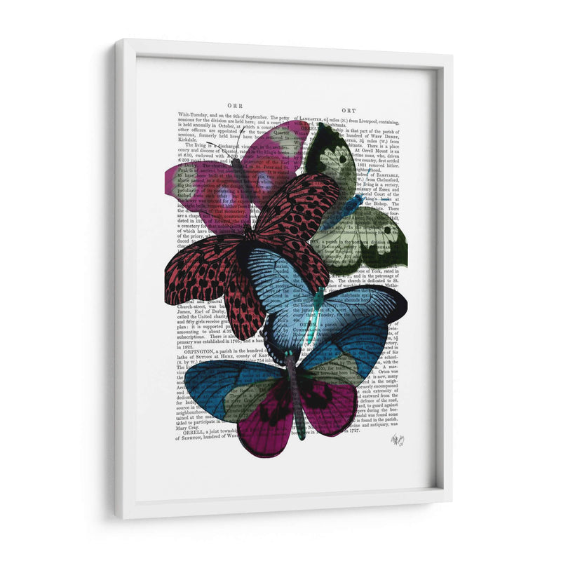 Grandes Mariposas Audaces 1 - Fab Funky | Cuadro decorativo de Canvas Lab