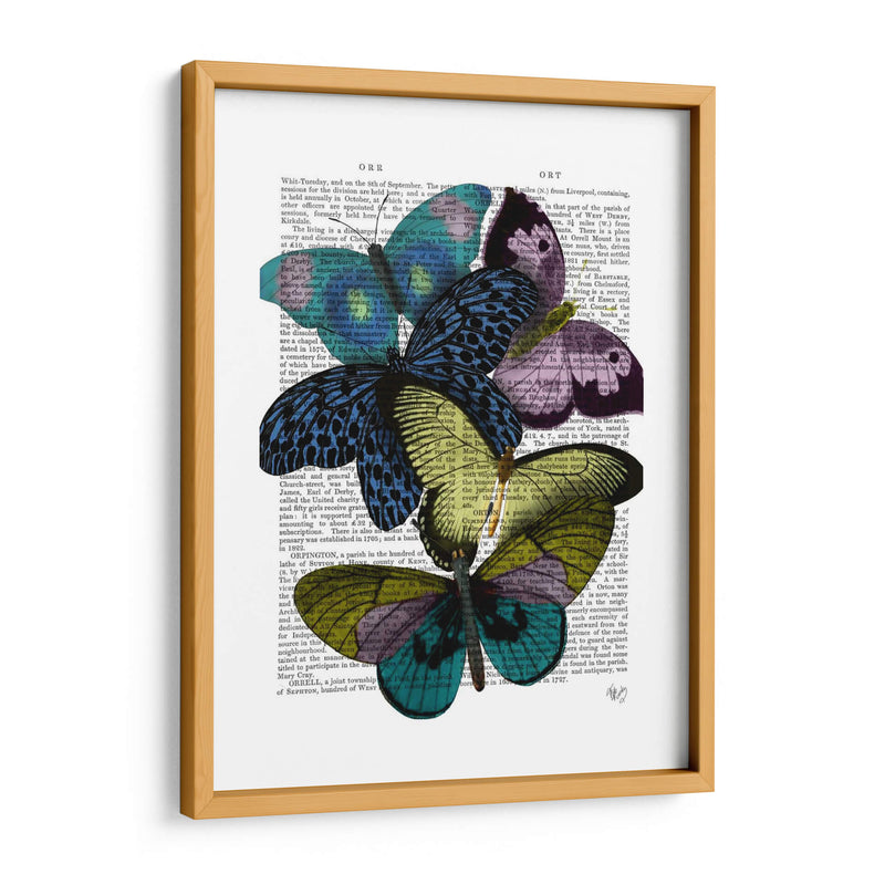 Grandes Mariposas Negras 2 - Fab Funky | Cuadro decorativo de Canvas Lab