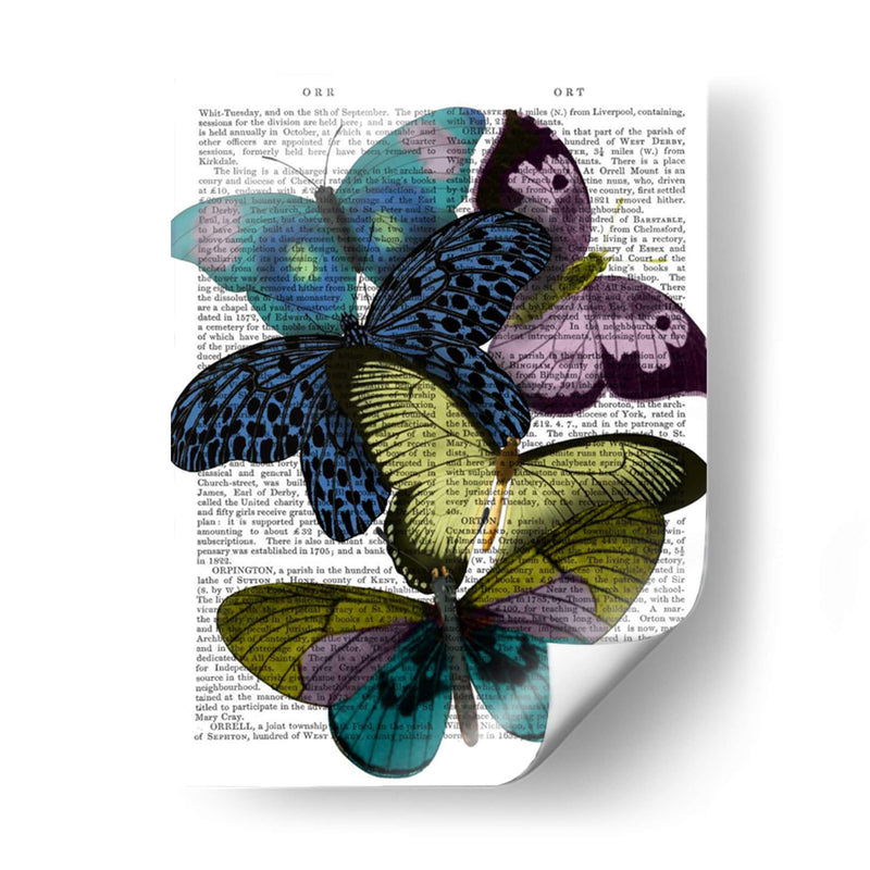 Grandes Mariposas Negras 2 - Fab Funky | Cuadro decorativo de Canvas Lab