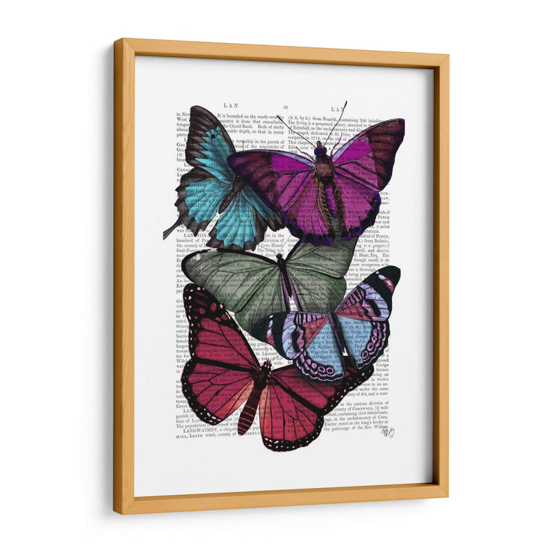 Grandes Mariposas Audaces 3 - Fab Funky | Cuadro decorativo de Canvas Lab