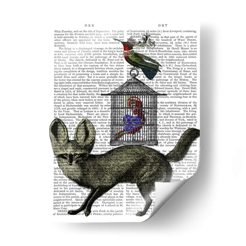 Zorro Con Pájaros - Fab Funky | Cuadro decorativo de Canvas Lab
